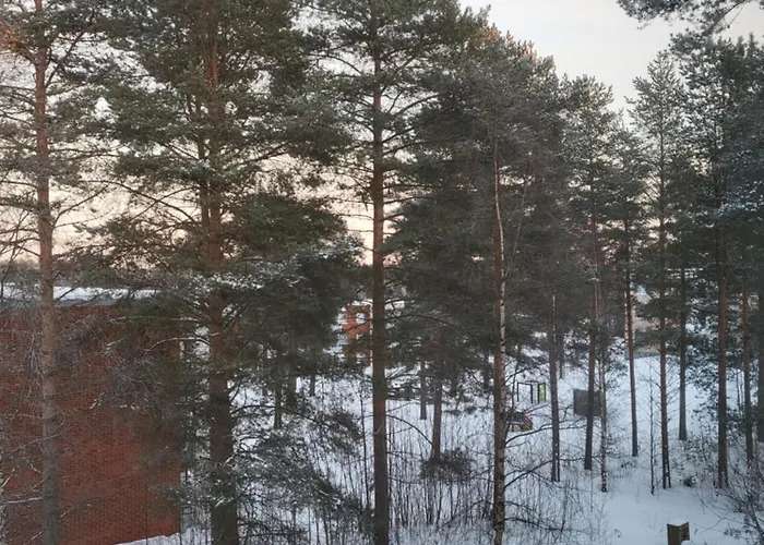 Haukipudas Lägenhet